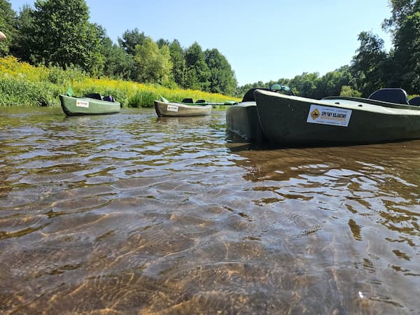 Cztery kajaki zaparkowane na płyciznie na rzece Tanew