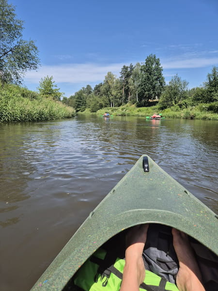 Widok rzeki Tanew z krajobrazem brzegów z poziomu kajaka